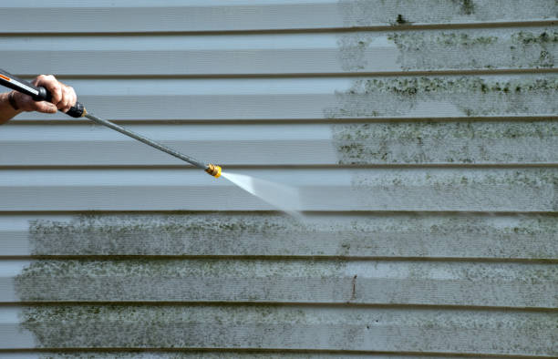 Best Affordable Pressure Washing  in Catlin, IL
