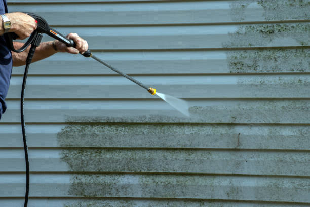 Best Roof Power Washing Services  in Catlin, IL