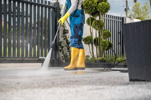 Best Commercial Building Pressure Washing  in Catlin, IL