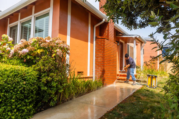 Best Best Pressure Washing Companies  in Catlin, IL