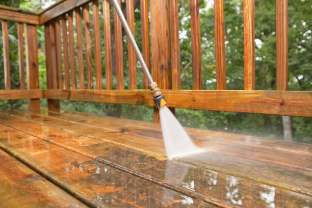 Best Fence Pressure Washing  in Catlin, IL