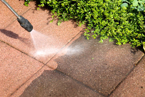 Best Fence Pressure Washing  in Catlin, IL